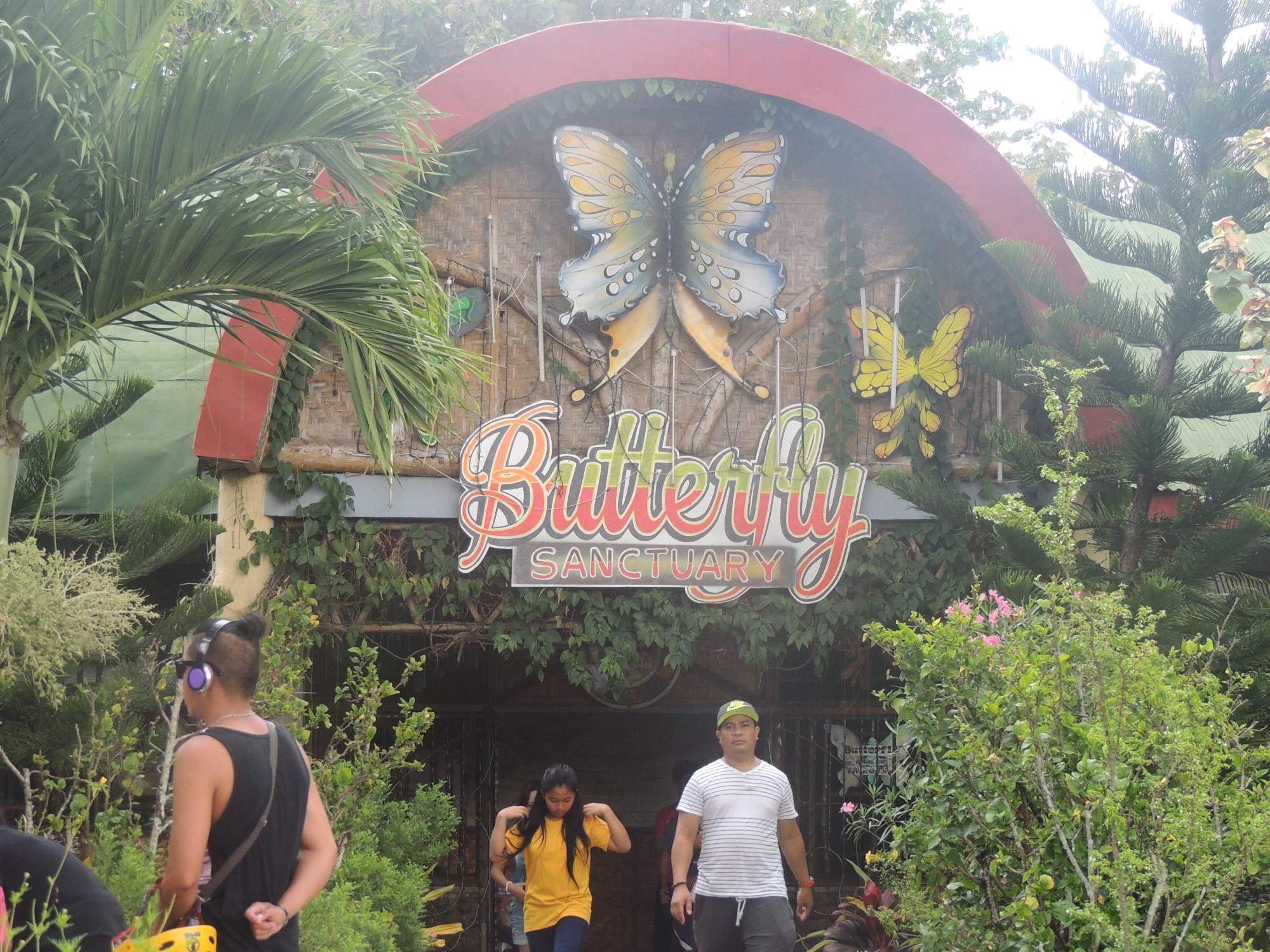 The Enchanted Park Of Zamboanga City Butterfly Garden